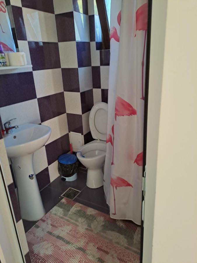 Bulgaru Apartment Cumpana (Dobruja)